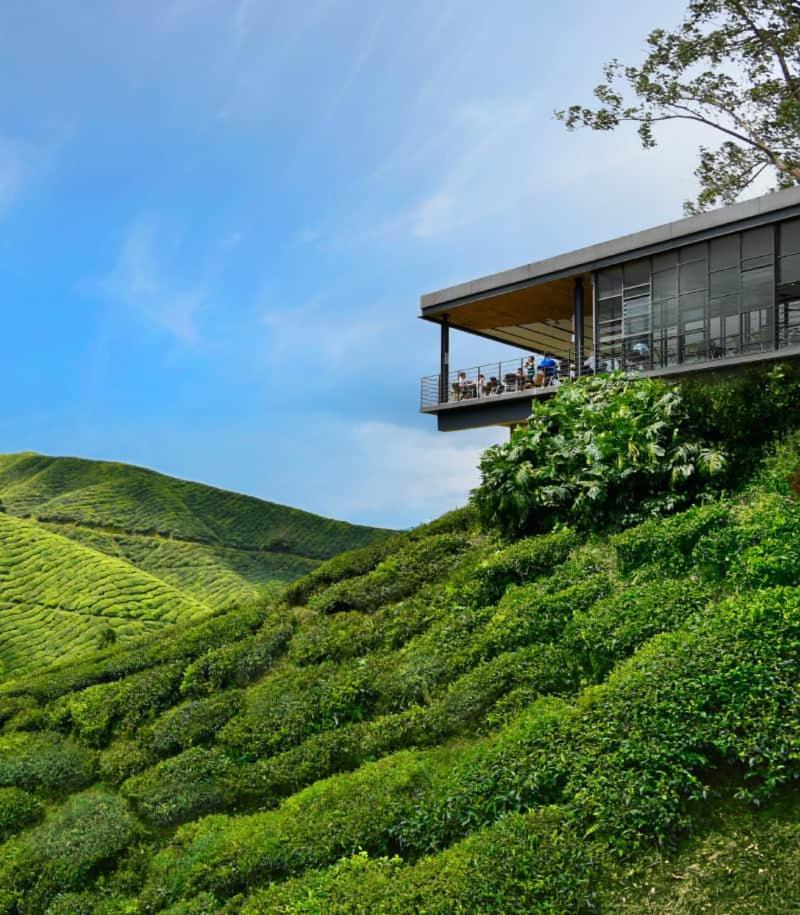 Myuko Homestay برينشانغ المظهر الخارجي الصورة
